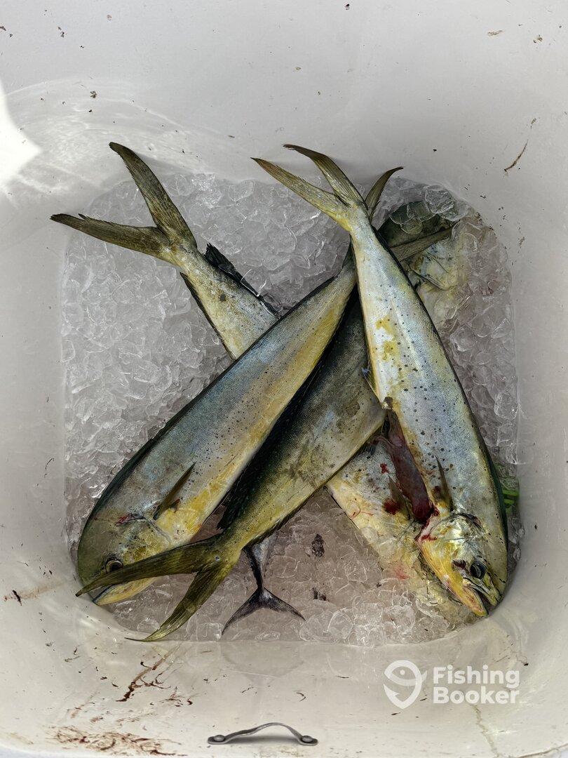 Amazing Day on the Water