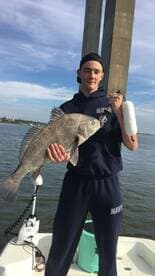 Young angler proudly displaying a large Black Drum while fishing from a boat, with a scenic backdrop of a bridge and calm waters.