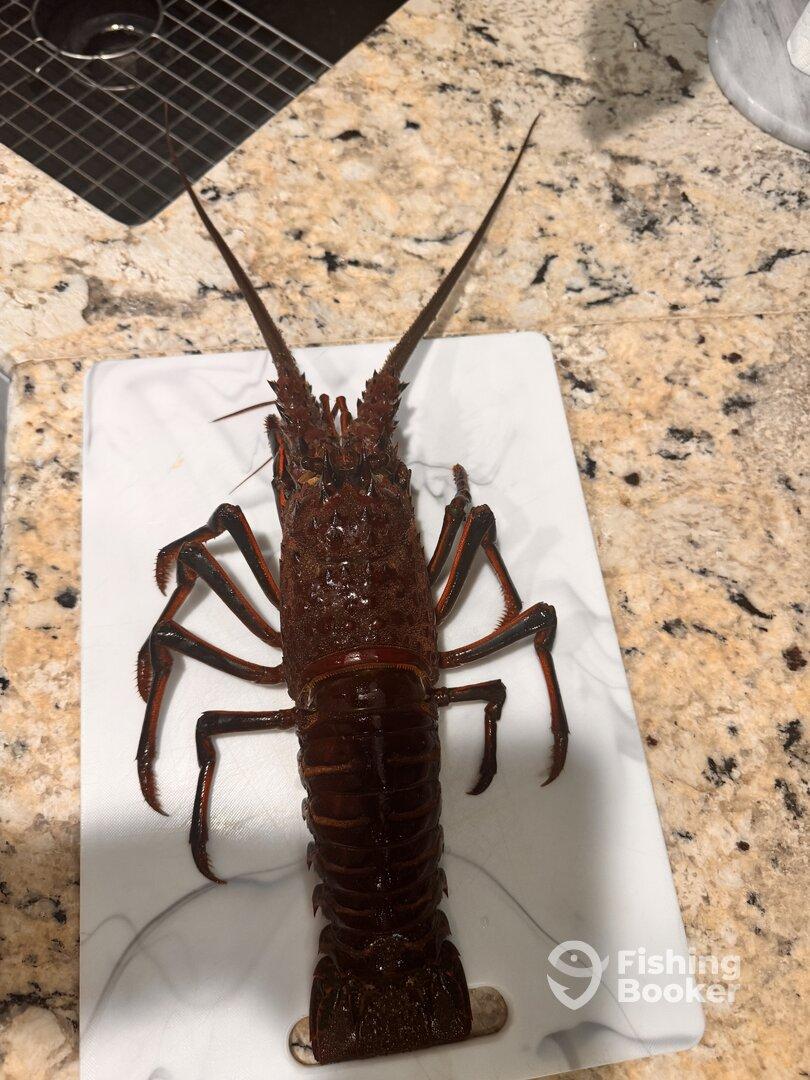 Overnight with captain Shon