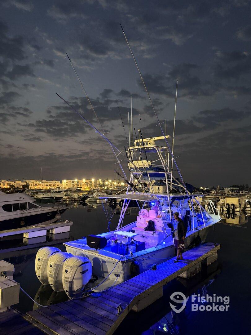 Fantastic Morning out Fishing 