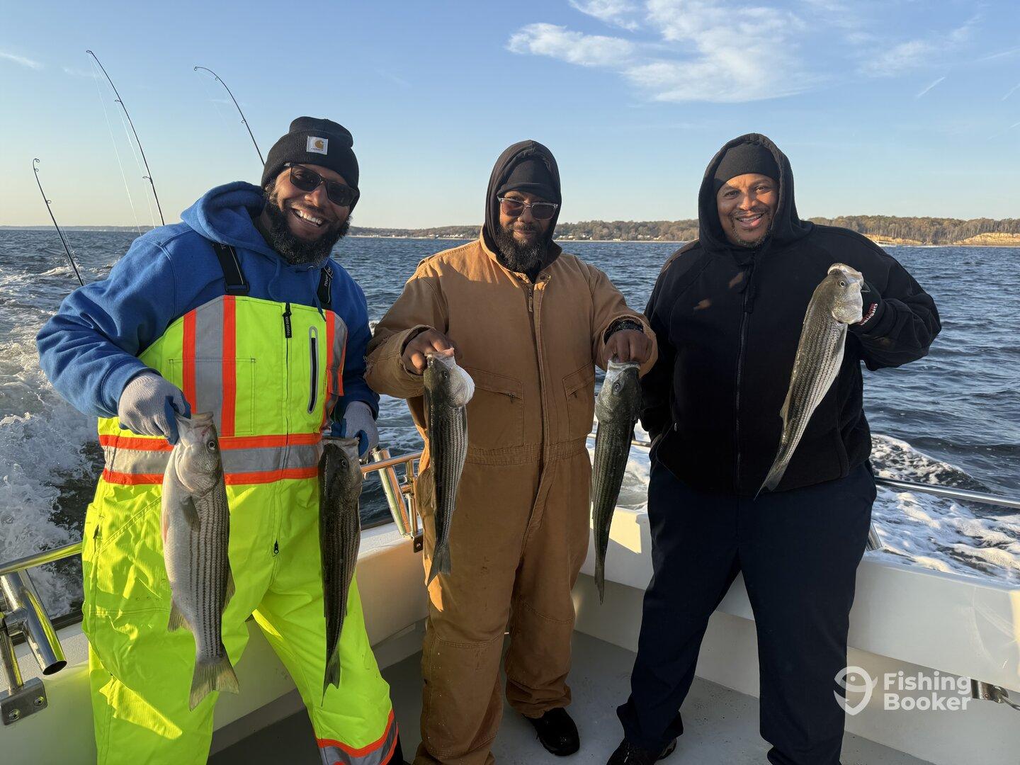 Three anglers proudly displaying their catch of striped bass while enjoying a fishing trip on a boat.