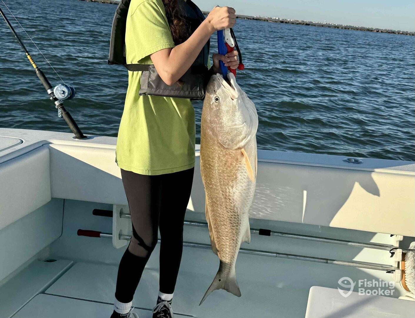 Family Friendly and Better than We Could Have Hoped