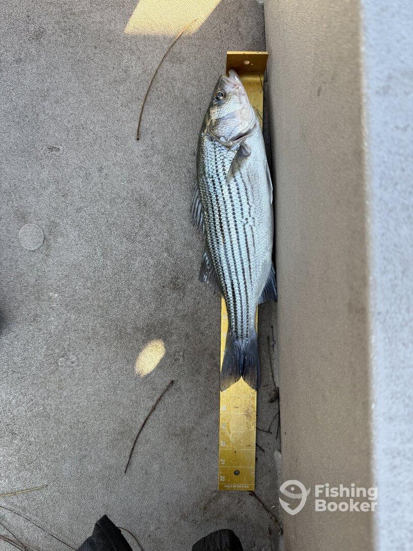 Great Day on the Water