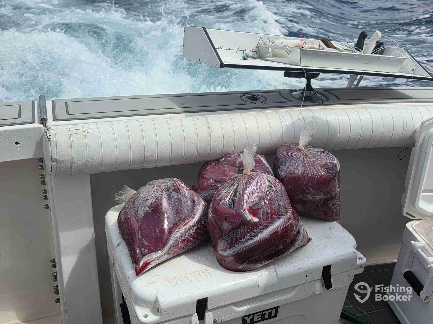 Great day on the water.