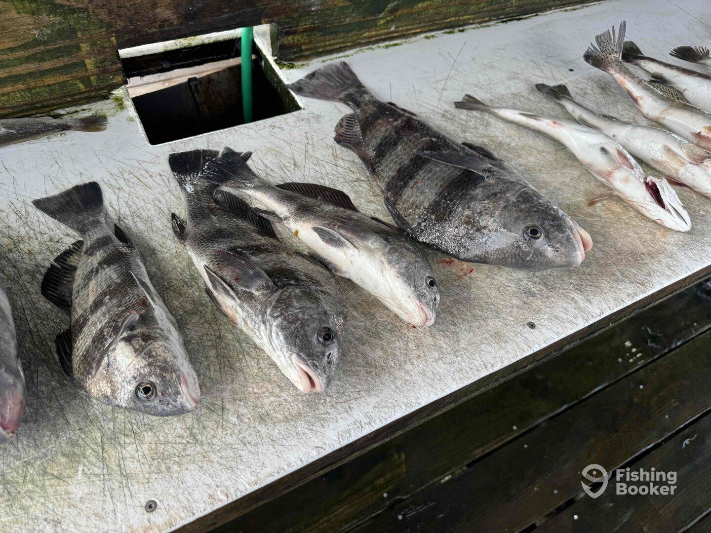 best fishing trip ever 