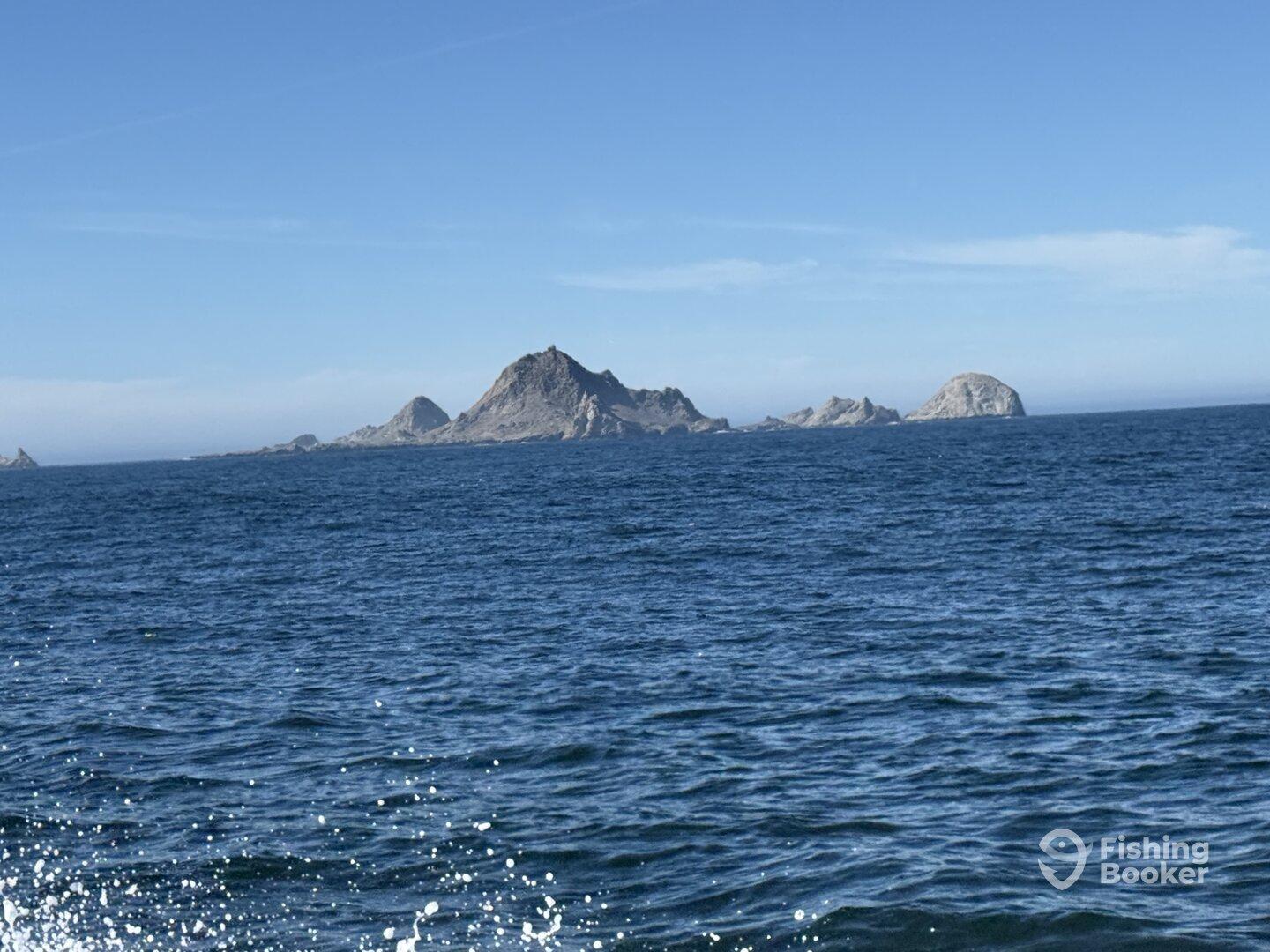 Fishing on the right boat Amethyst charter Berkeley ca