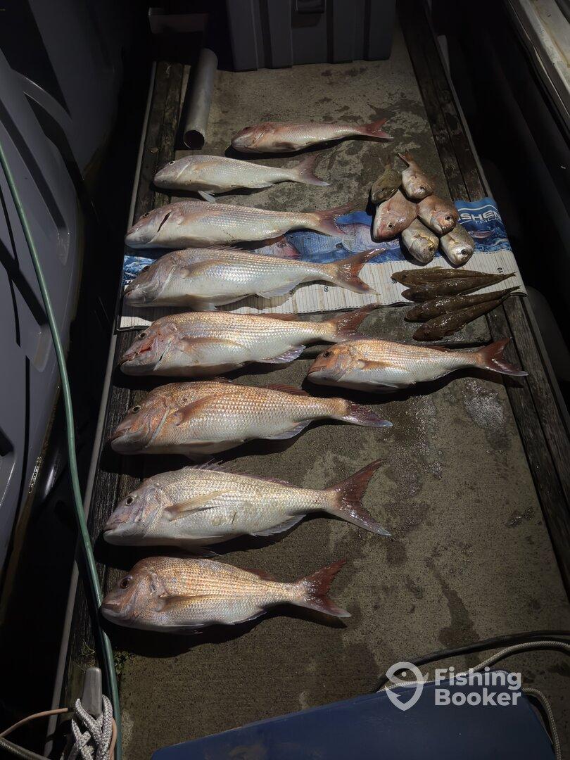 What a Skipper, What a Catch