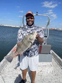 An angler proudly displaying a large Black Drum while fishing from a boat in a coastal waterway.