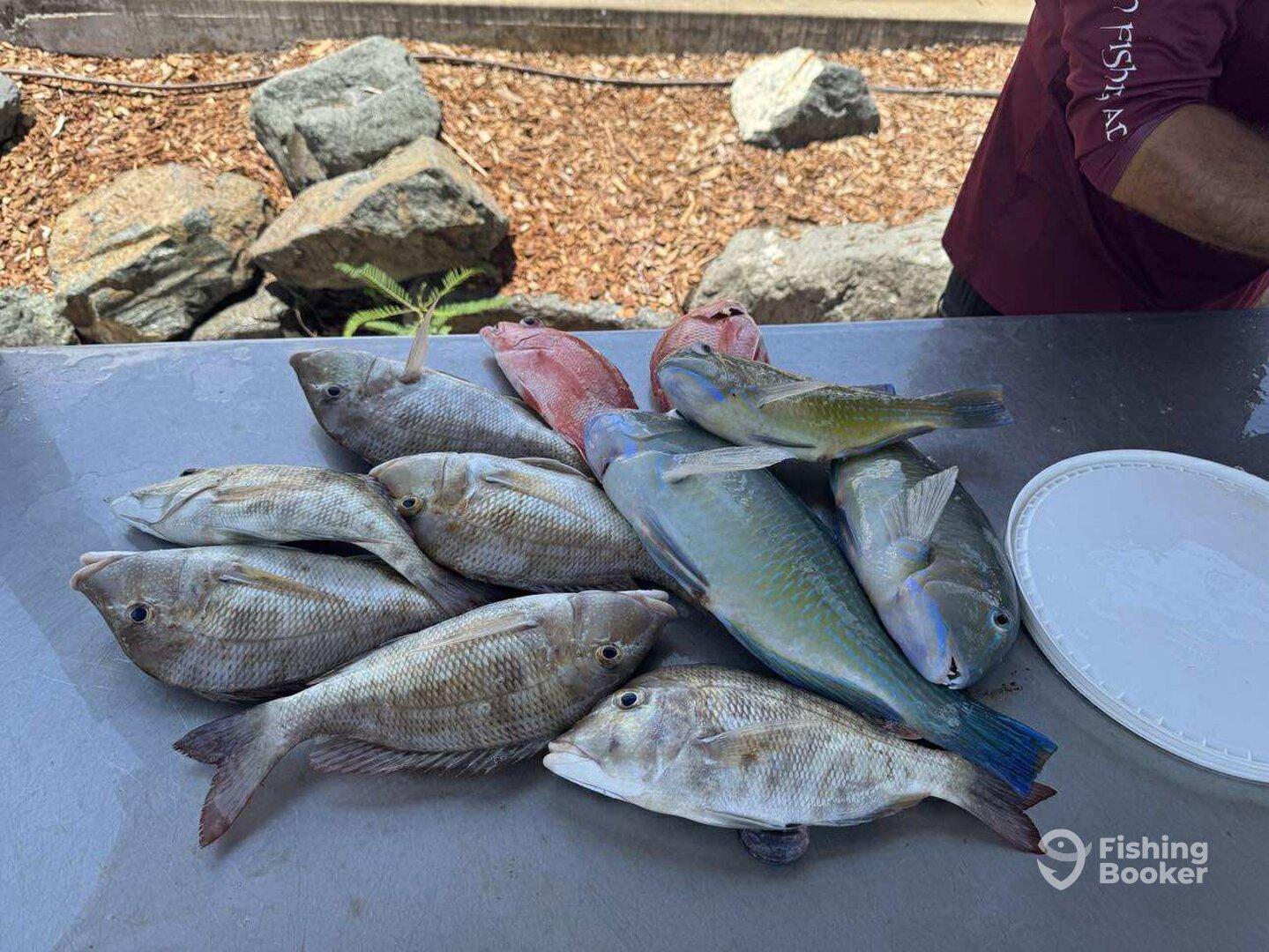 November fishing trip