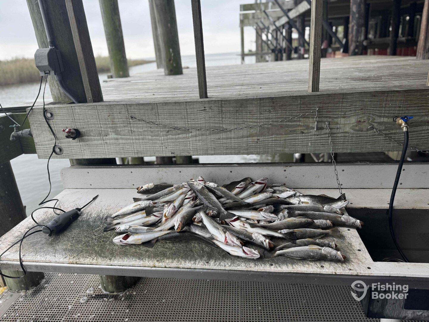 November fishing trip