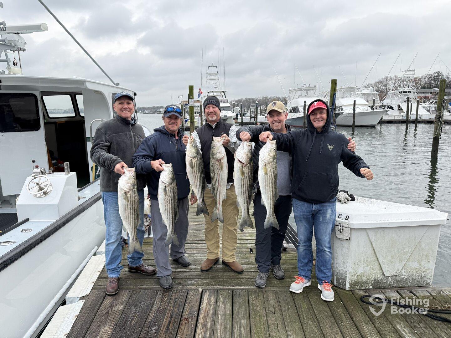 November Striperfest