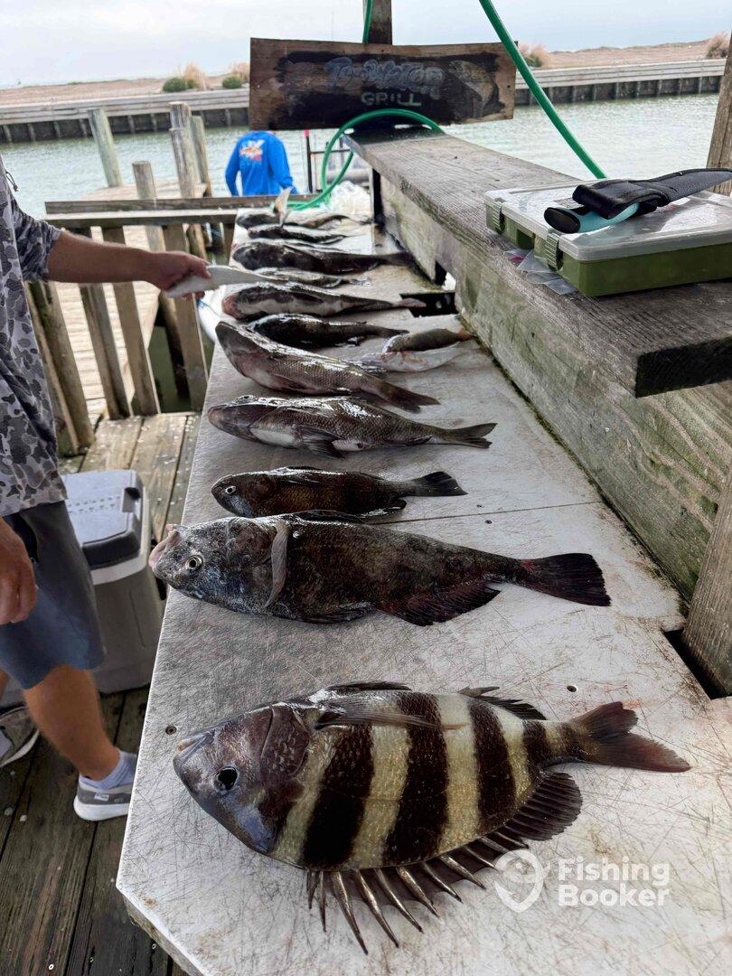 fun trip with a great captain 