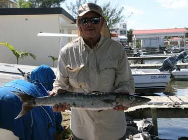 An angler proudly displaying a Barracuda at the marina, showcasing a successful fishing trip.