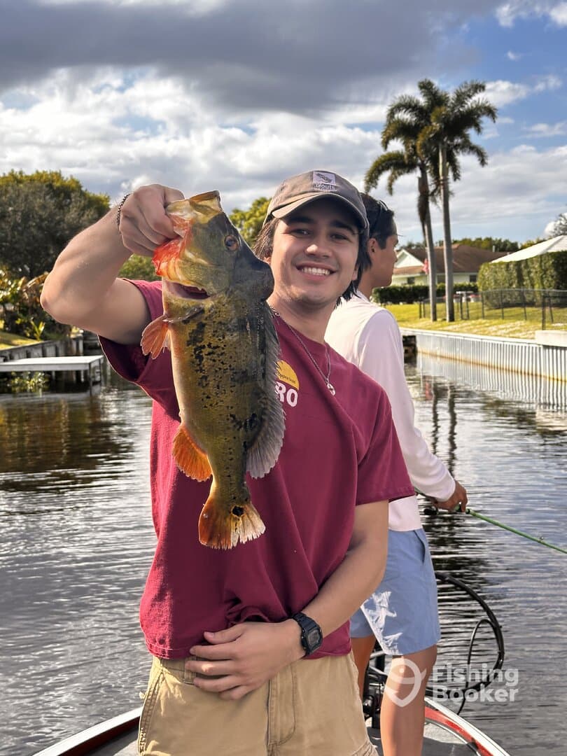 A young angler proudly displaying a large Largemouth Bass while fishing on a scenic lake, with palm trees in the background.