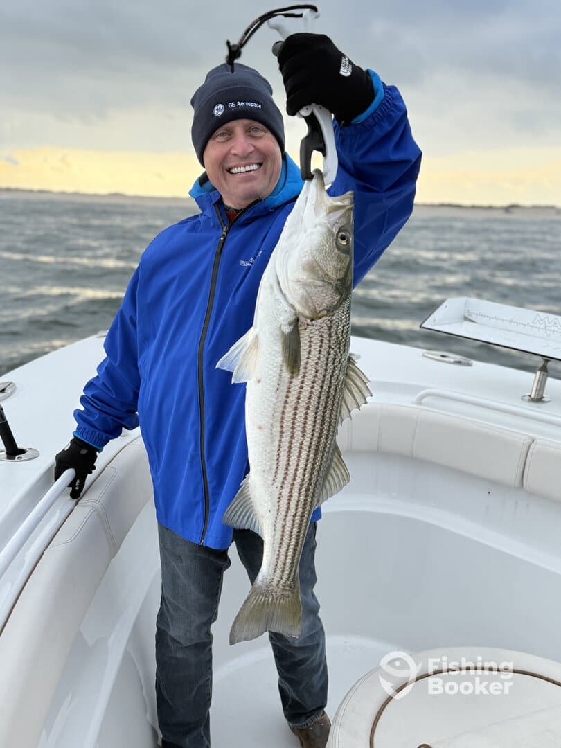 Stripers!