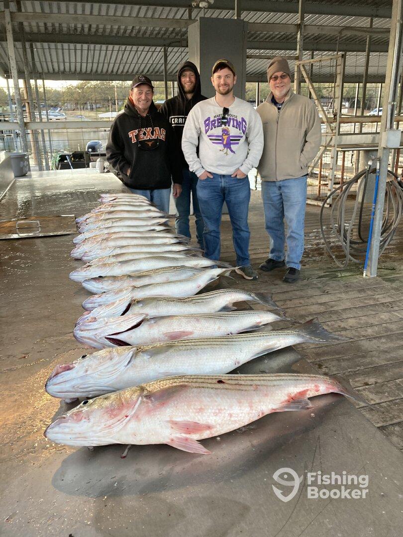 DW’s guide service