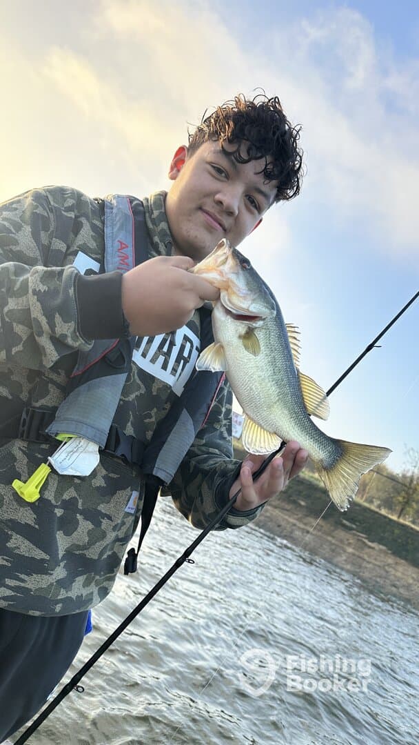 A young angler proudly displaying a large Largemouth Bass while fishing from a boat on a serene river.