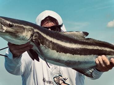 Angler proudly displaying a large Cobia while fishing in clear waters, showcasing a successful day on the boat.