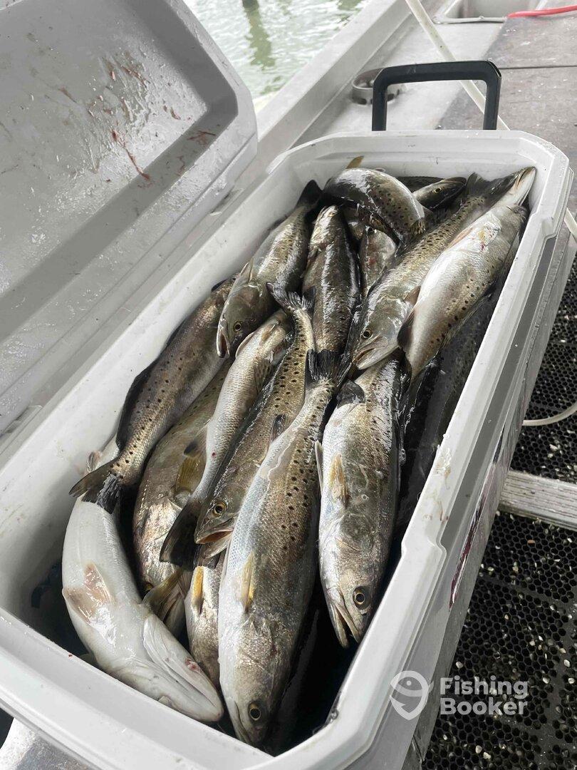 Chilly but great day!!