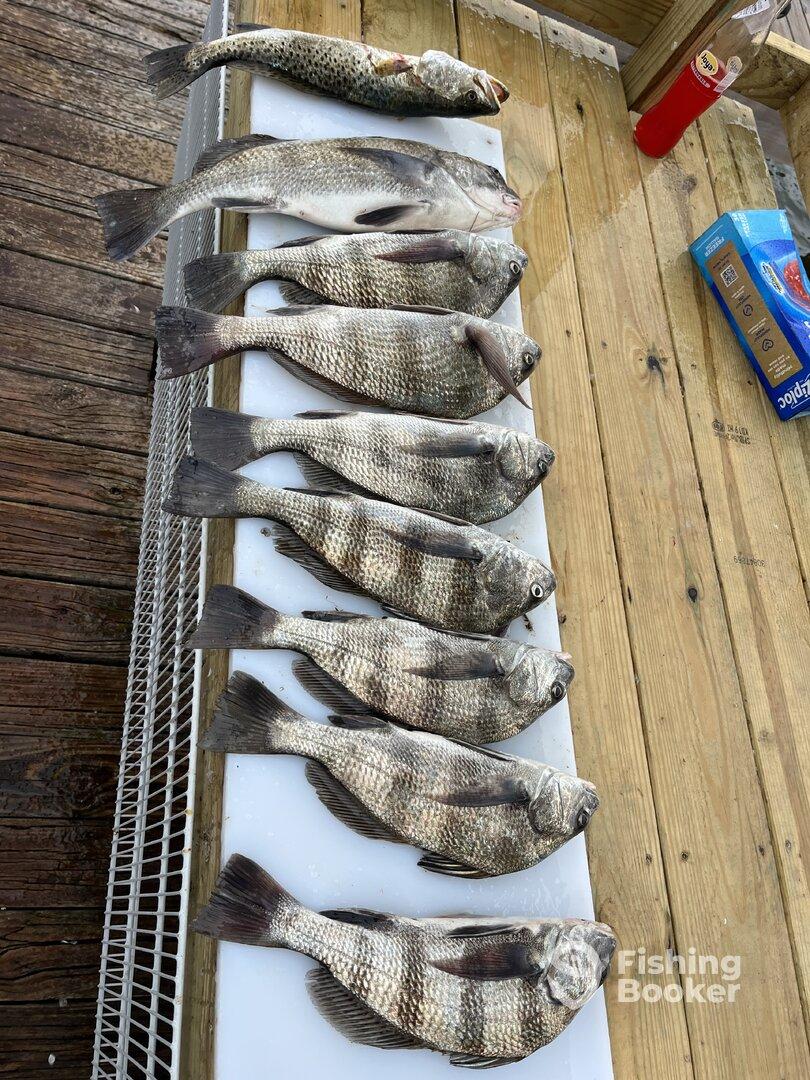 October fishing trip