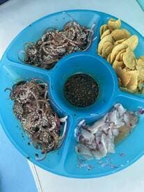A colorful plate featuring various seafood preparations, including marinated fish and squid, served with tortilla chips, likely enjoyed on a fishing trip.