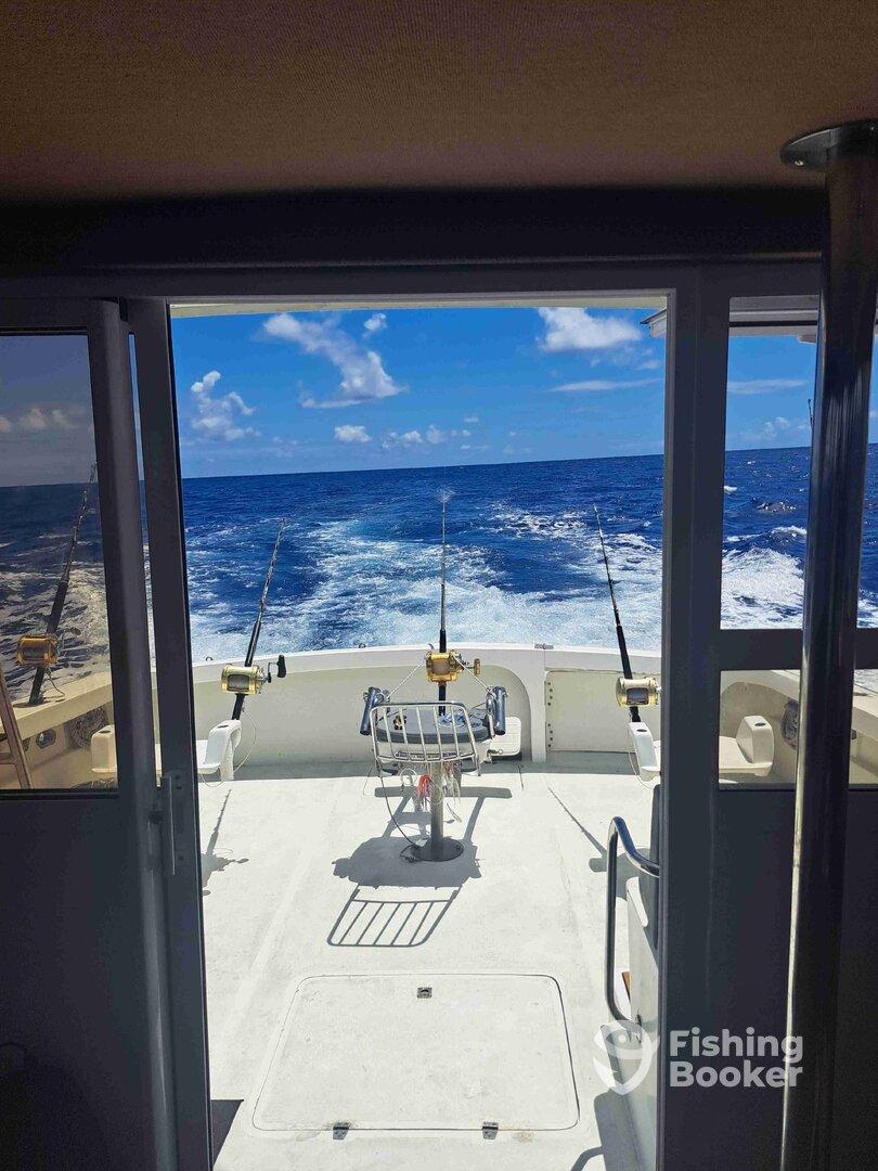 A perfect day at sea.