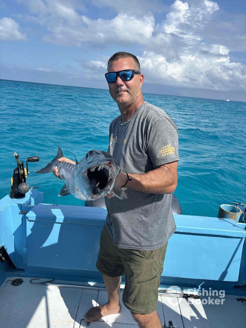 Great barracuda bite