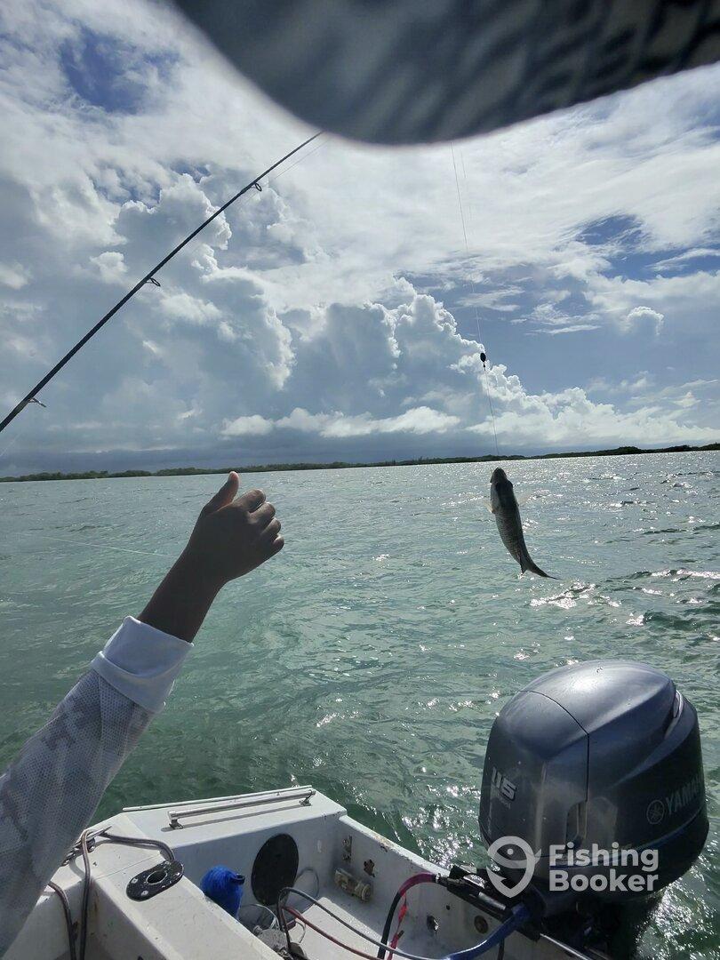 ⭐️⭐️⭐️⭐️⭐️ Island Reef Fishing with Freedom Tours – Incredible Experience