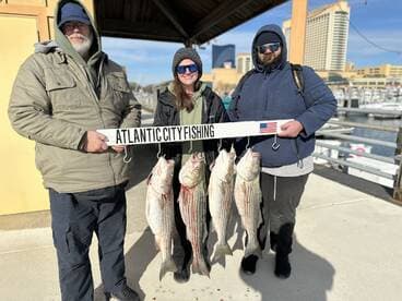 Three anglers proudly displaying their catch of striped bass at the marina in Atlantic City, showcasing a successful fishing trip.