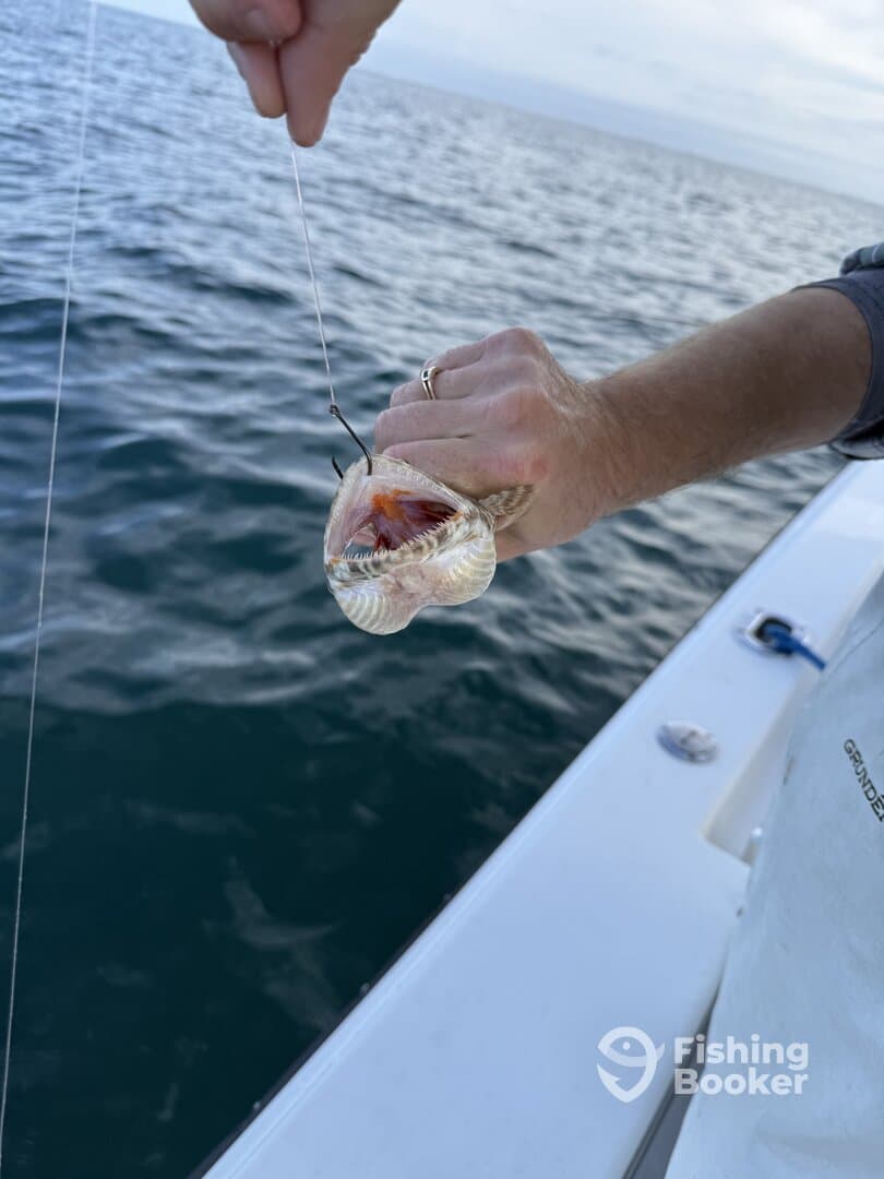An angler reeling in a fish while fishing from a boat, showcasing the excitement of the catch in open waters.