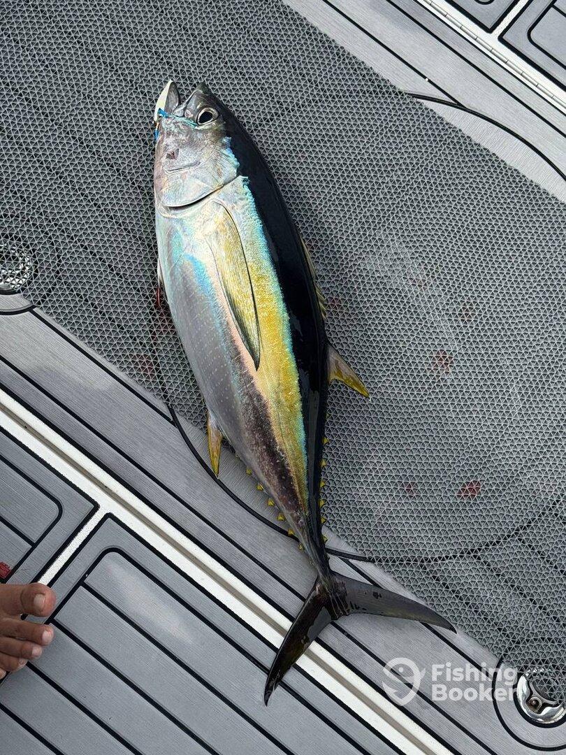 Half Day Fishing Adventure with Salt Rigger Team