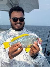 Angler proudly displaying a colorful Parrotfish while fishing offshore, showcasing the vibrant marine life.