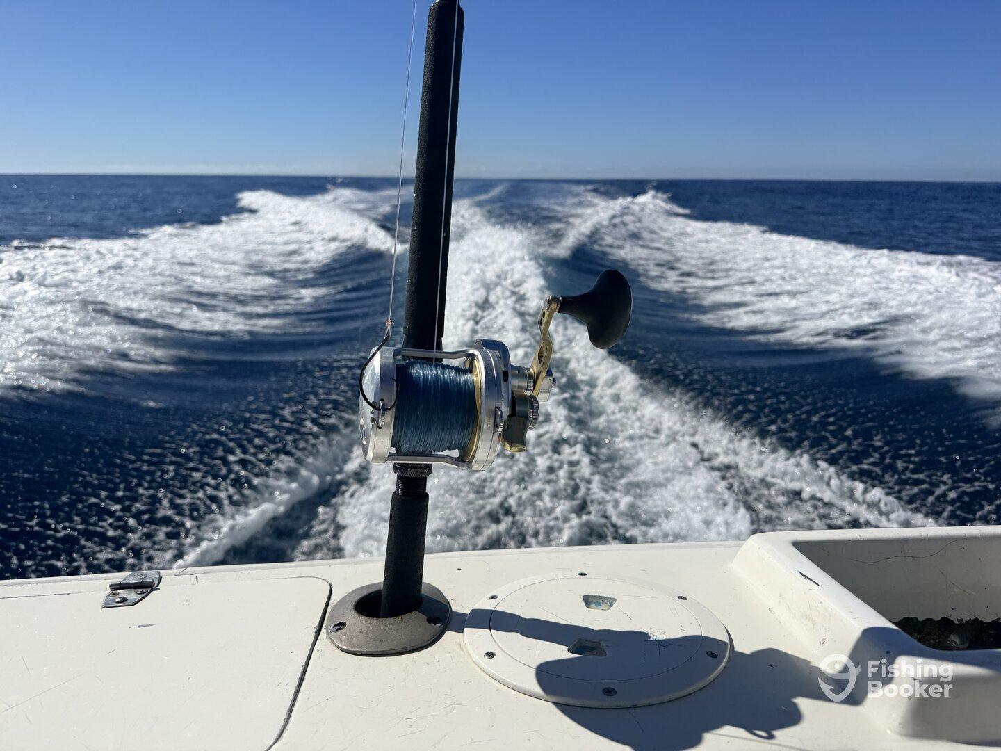 Best captain and crew