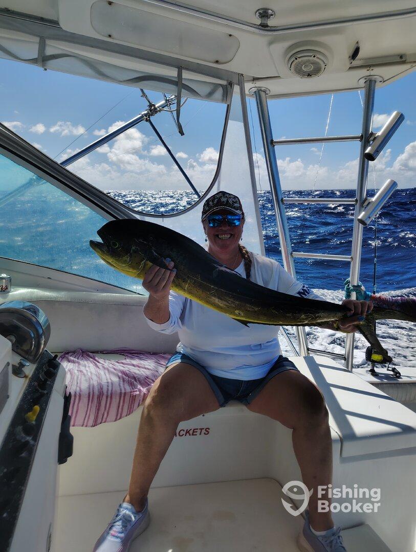 Off the charts and on the Hooks!!!