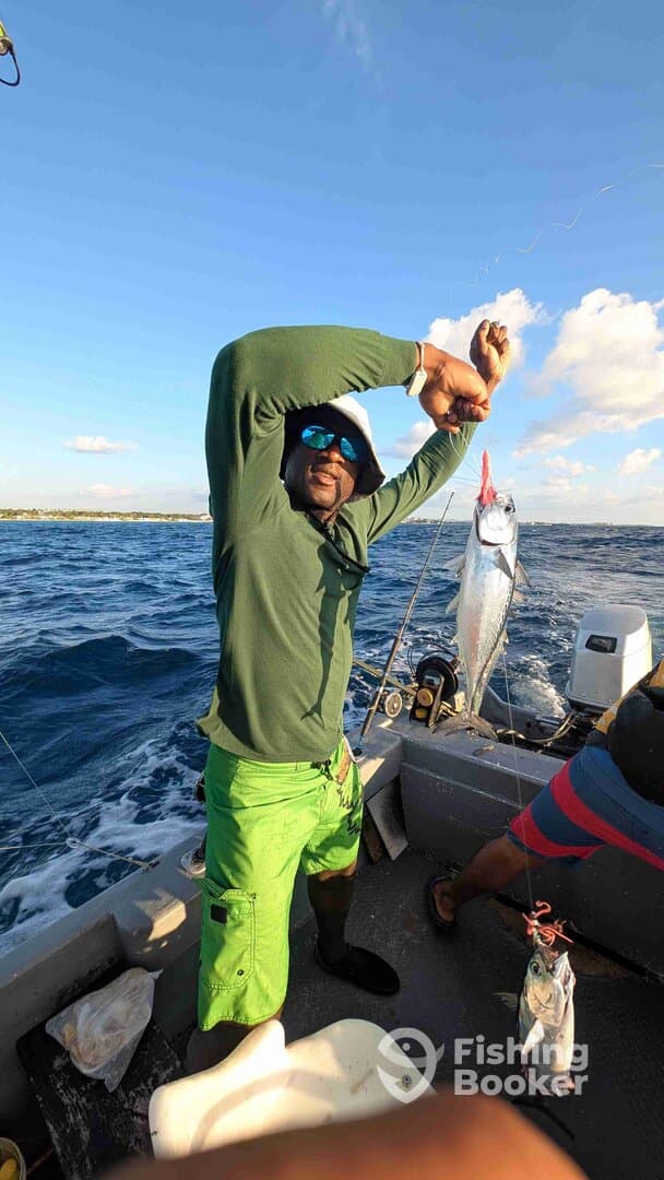 A Boatful of Beautiful Bonita & Barracuda