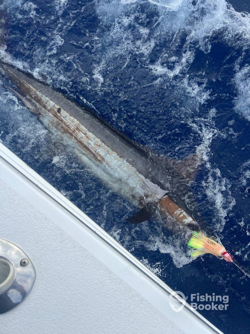 Killer trip and crew