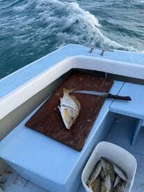A freshly caught fish displayed on a cutting board aboard a fishing boat, with additional fish in a bucket nearby, showcasing a successful day on the water.
