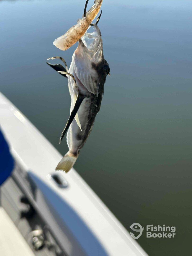 Capt Drew leads Buffalo NY Anglers to Holiday fish!!!