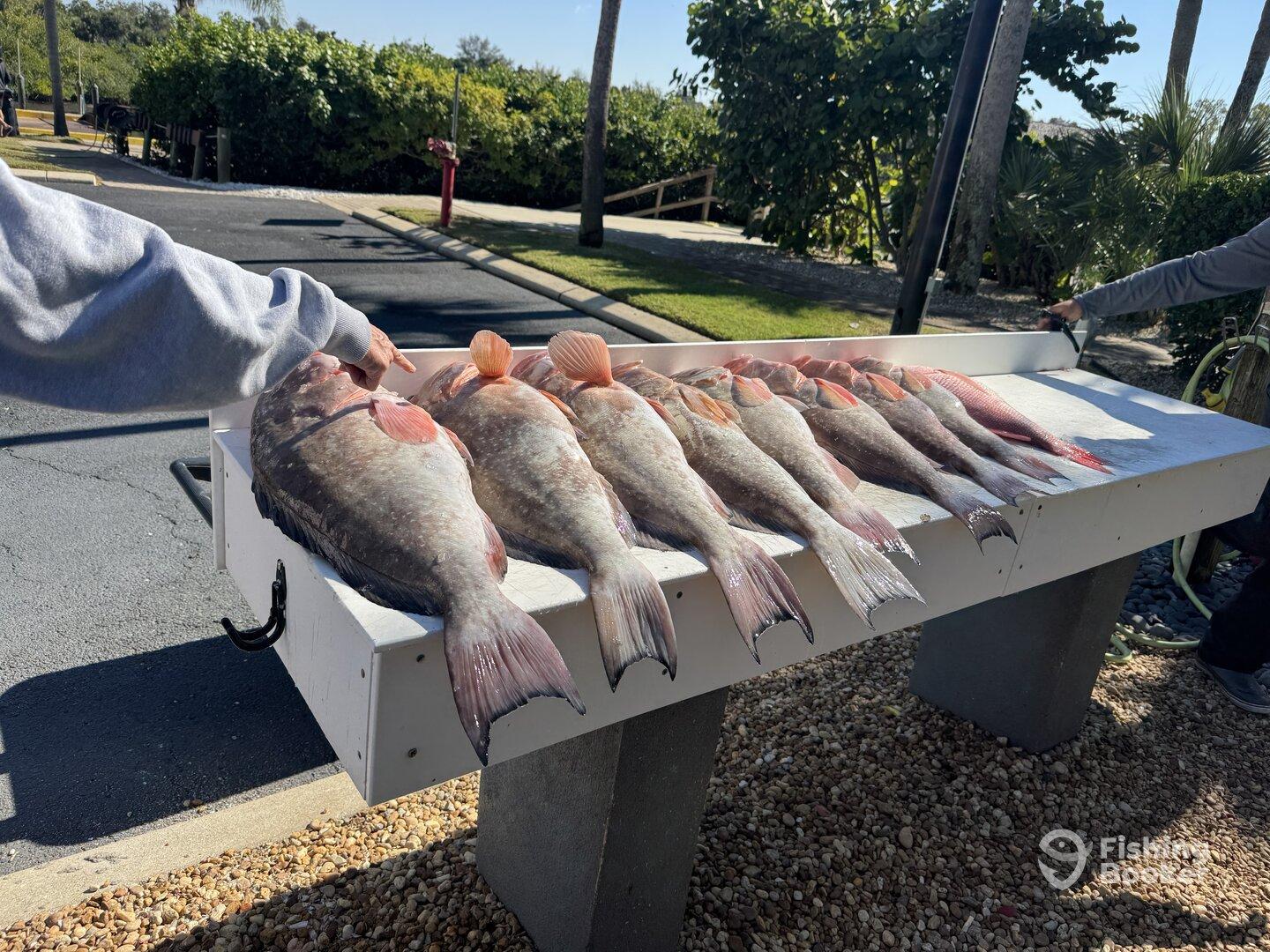 Fantastic day of fishing with Captain Dustin and Mike