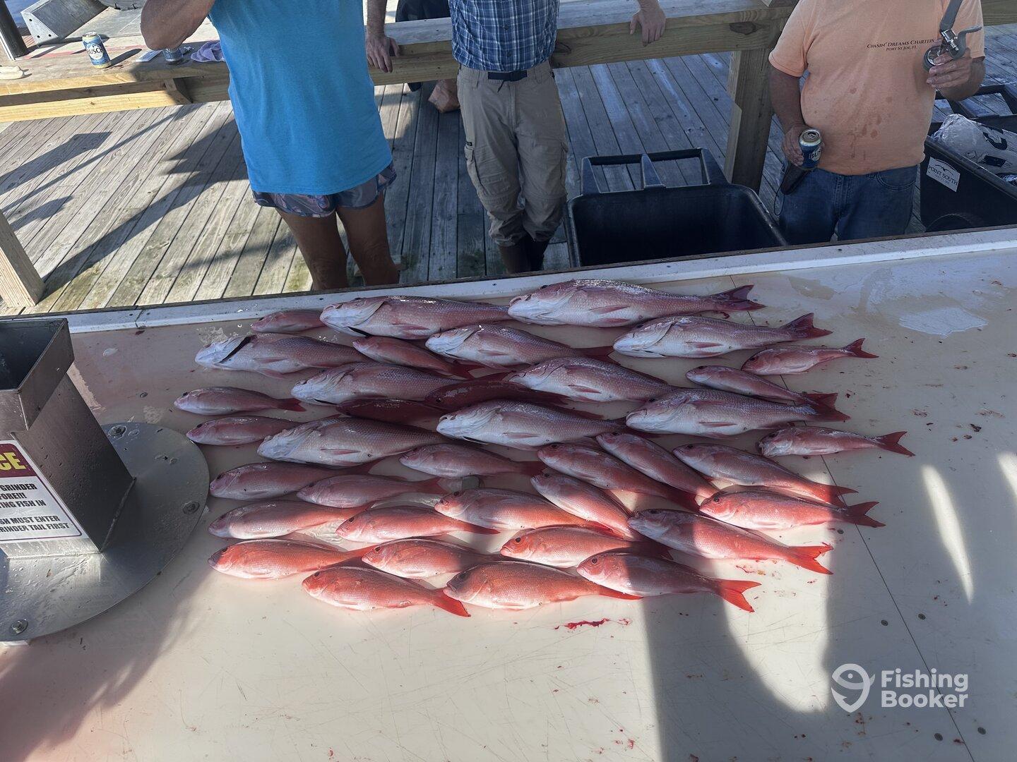 These guys were great!