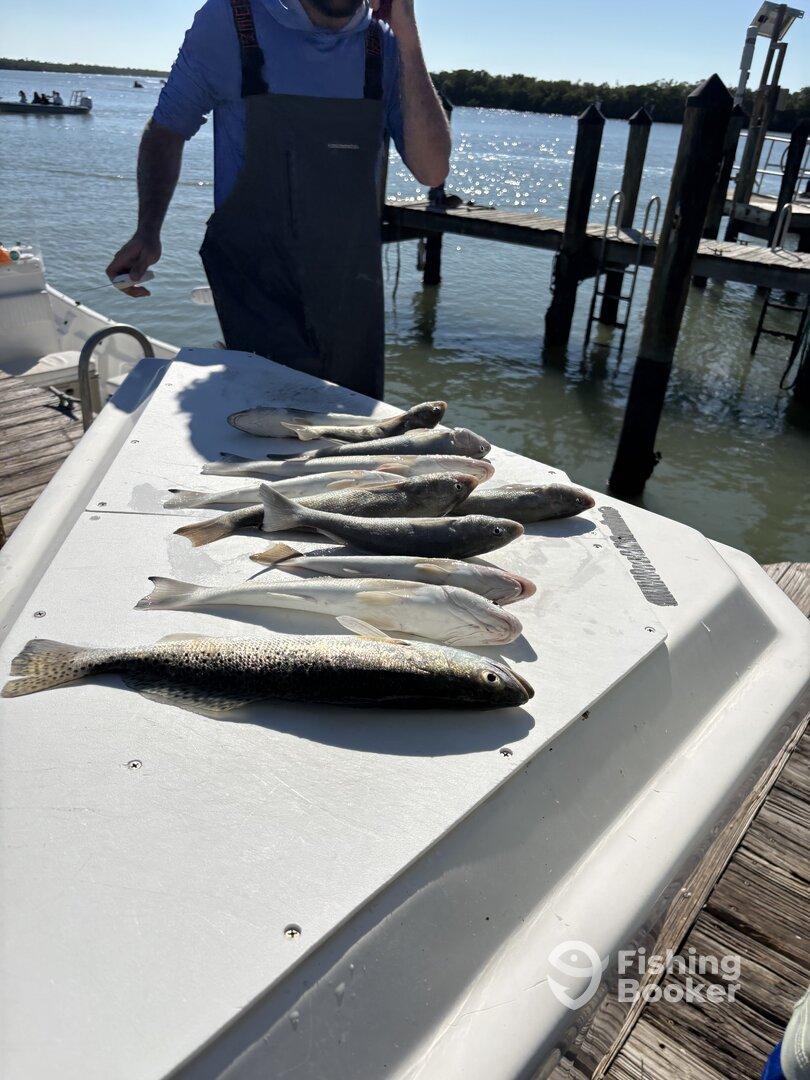 What a great experience 