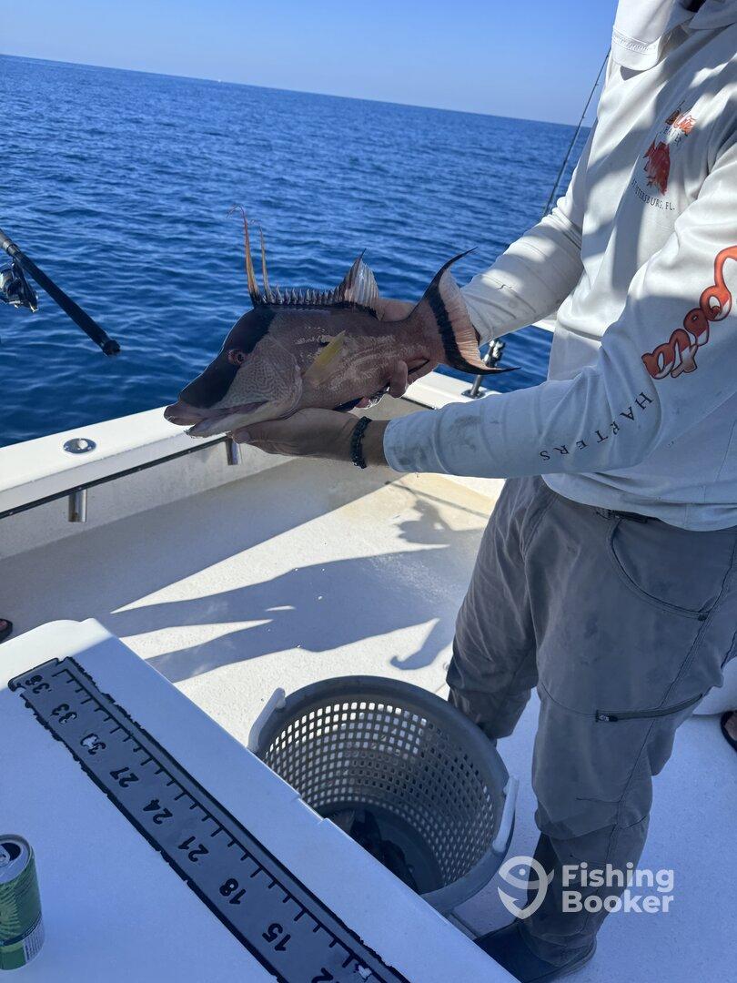 Great day fishing La costa charters
