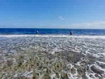 Two anglers casting lines into the surf, enjoying a day of fishing along the shoreline.