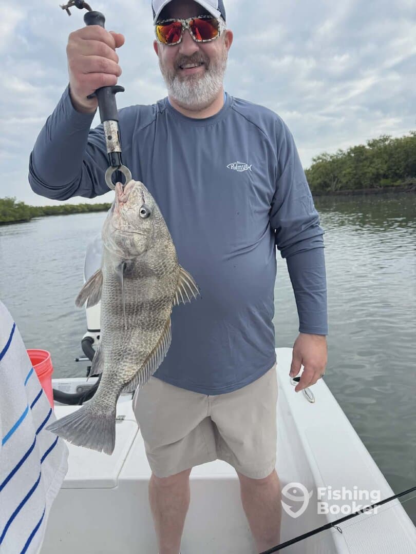 Angler proudly displaying a large Black Drum caught while fishing in a scenic waterway.