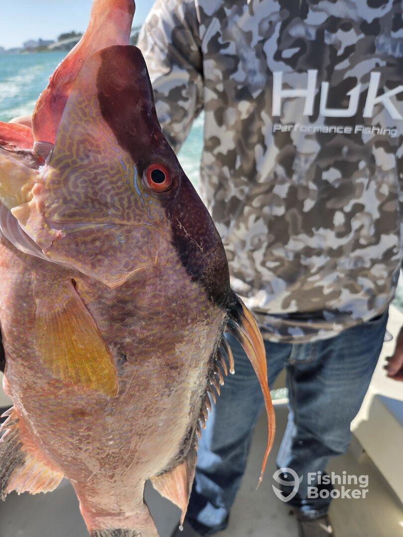 Didn't catch huge fish but caught lots