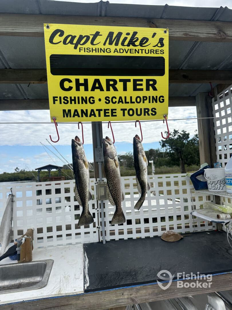 December fishing trip
