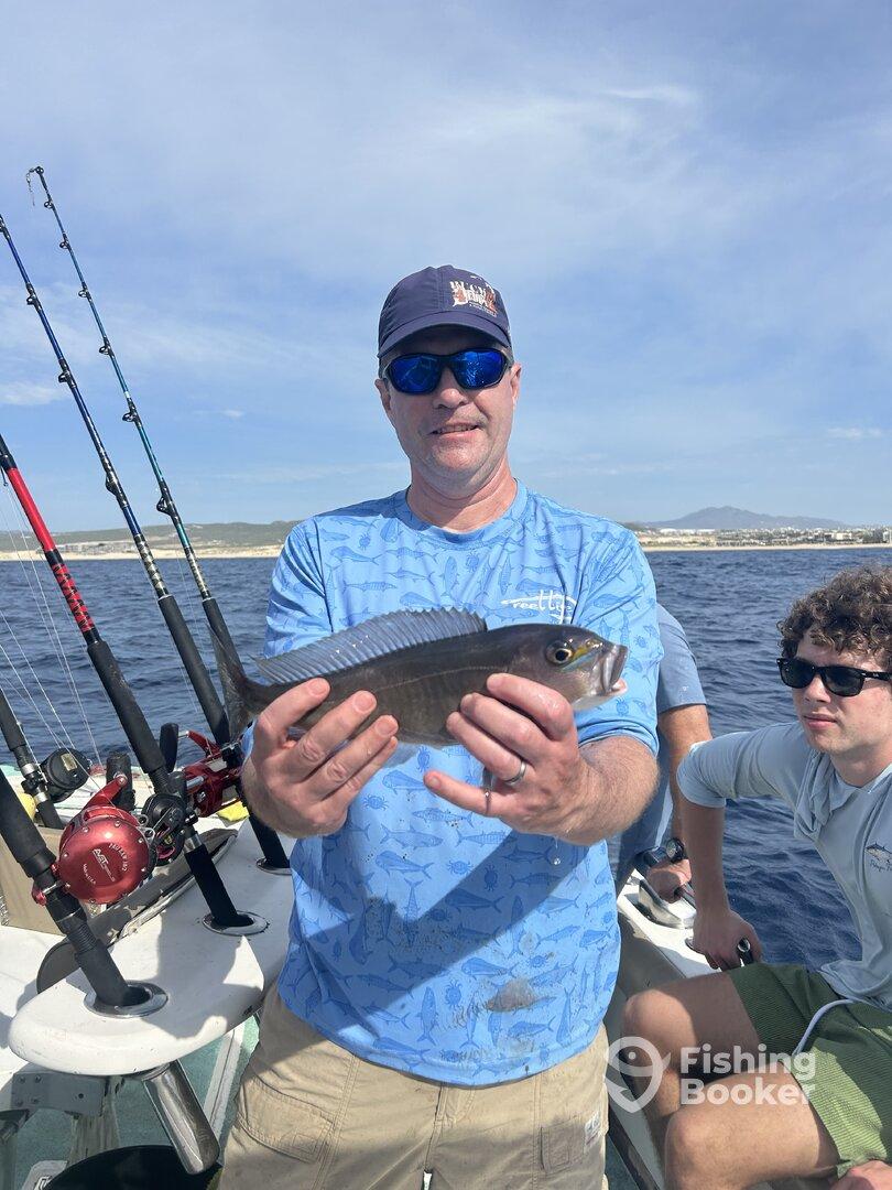 Great catching, rude captain