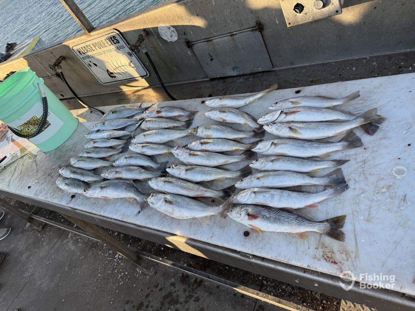 Nailed the Sand Trout!