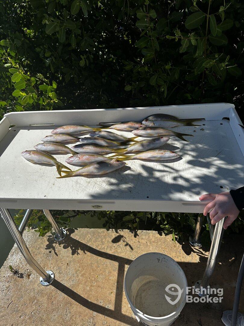 Great time with our guide!