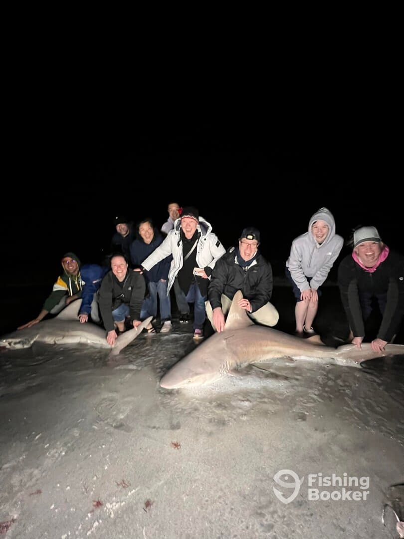 A group of excited anglers proudly displaying two large sharks on the beach at night, showcasing their successful catch during a thrilling fishing adventure.
